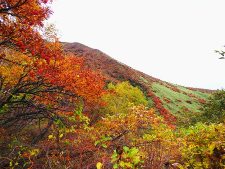 19日（日）那須岳