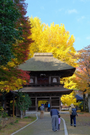 16日（日）秋川渓谷紅葉巡り　