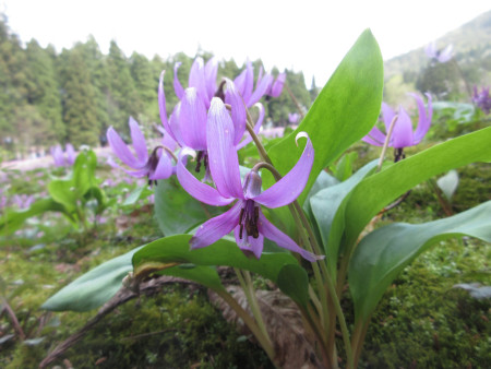 18日(土)　坂戸山六万騎山