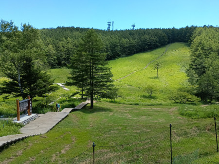 25日（土）　入笠山